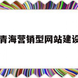 青海营销型网站建设(青海互联网广告营销模式)