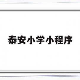 泰安小学小程序(泰安市教育局小学生报名)