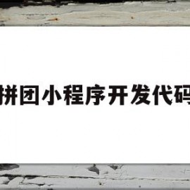 拼团小程序开发代码(拼团小程序开发代码是什么)