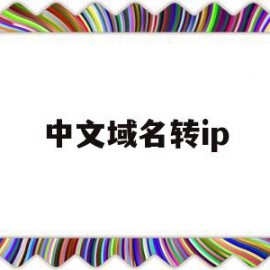 中文域名转ip(中文域名转换英文域名)