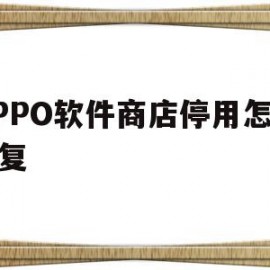 OPPO软件商店停用怎么恢复(oppo应用商店被卸载了怎么恢复)