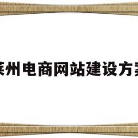 莱州电商网站建设方案(电商网站建设 网站定制开发)