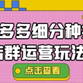 拼多多细分种类店群运营玩法3.0，11月最新玩法，小白也可以操作