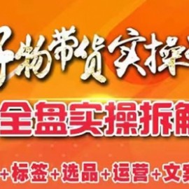 抖音好物带货实操课：全盘拆解抖音好物带货号全套流程打法