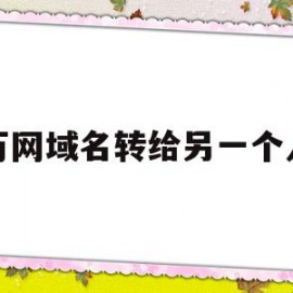 万网域名转给另一个人(新网的域名可以转到万网吗?)