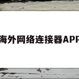 海外网络连接器APP(海外网络连接器官网服务器)