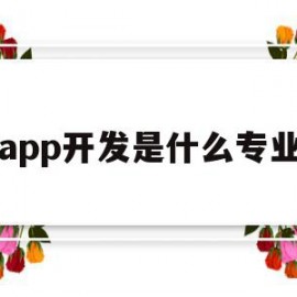 app开发是什么专业(各种app开发的是学什么专业的)