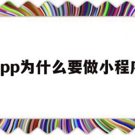 app为什么要做小程序(为什么要做app而不用web)