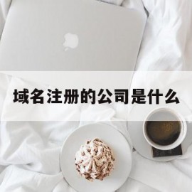 域名注册的公司是什么(域名注册商是干什么的)