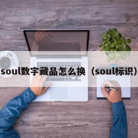 soul数字藏品怎么换（soul标识）