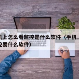 在手机上怎么看监控是什么软件（手机上怎么看监控要什么软件）