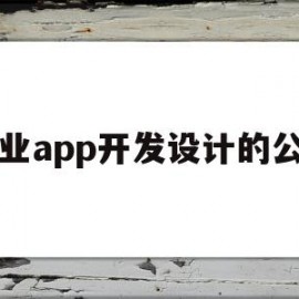 专业app开发设计的公司(专业app开发设计的公司有哪些)