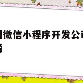 杭州微信小程序开发公司排行榜(杭州微信小程序开发公司排行榜最新)