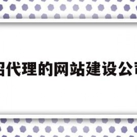 招代理的网站建设公司(招代理的网站建设公司是什么)