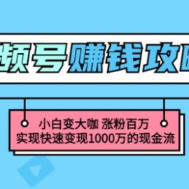 玩转微信视频号赚钱：小白变大咖 涨粉百万 实现快速变现1000万的现金流