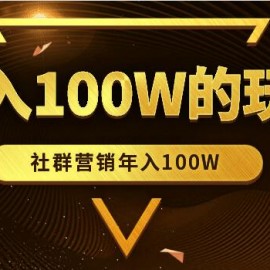 年入100W的社群营销玩法