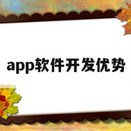 app软件开发优势(app软件开发优势和劣势)