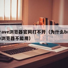 brave浏览器官网打不开（为什么brave浏览器不能用）