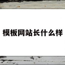 模板网站长什么样(网站模板一般去哪找)