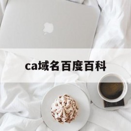 ca域名百度百科(ca域名表示的是什么)