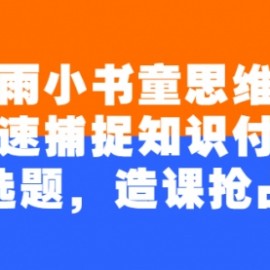 林雨小书童思维课：快速捕捉知识付费蓝海选题，造课抢占商机