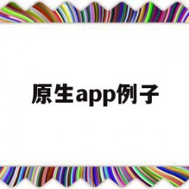 原生app例子(原生app怎么开发)