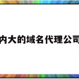 包含国内大的域名代理公司吗的词条