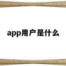 app用户是什么(app用户名是什么意思)