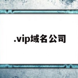 .vip域名公司(vip域名值得投资吗)