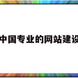 中国专业的网站建设(网站建设平台哪家好)