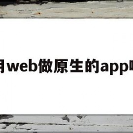 用web做原生的app吗(求了解 webapp开发和原生app开发哪个好?)