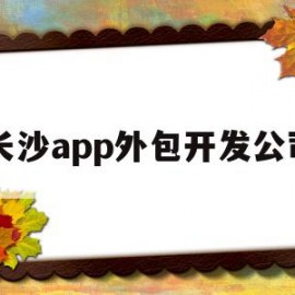 长沙app外包开发公司(长沙app外包开发公司排名)