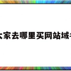 关于大家去哪里买网站域名的信息