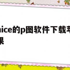 nice的p图软件下载苹果(nice软件苹果版)