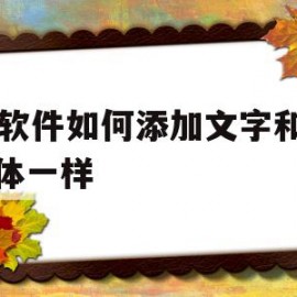 ps软件如何添加文字和原字体一样(ps软件如何添加文字和原字体一样大)