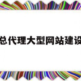 总代理大型网站建设(总代理大型网站建设流程)