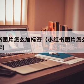 小红书图片怎么加标签（小红书图片怎么加标签文字）