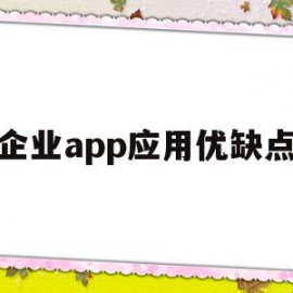 企业app应用优缺点(企业app使用的是什么用户体系)