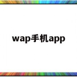 wap手机app(wap软件是什么意思)