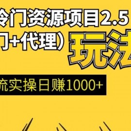 虚拟冷门资源项目2.5（冷门&代理玩法） 精准引流实操日赚1000+