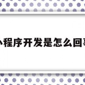 小程序开发是怎么回事(小程序开发百度百科)