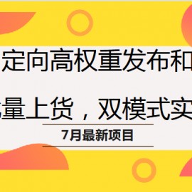 定向高权重发布和批量上货，双模式实操