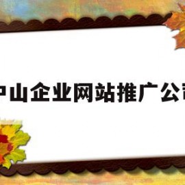 中山企业网站推广公司(中山企业网站推广公司排名)