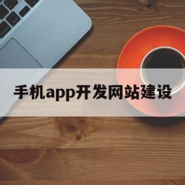 手机app开发网站建设(app开发网站建设哪家好)