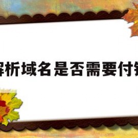 解析域名是否需要付钱(解析域名之后要怎么操作)