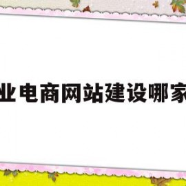 专业电商网站建设哪家好(电商网站建设 网站定制开发)