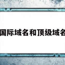 国际域名和顶级域名(国际域名和顶级域名一样吗)