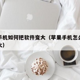 苹果手机如何把软件变大（苹果手机怎么让软件变大）