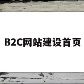 B2C网站建设首页(b2c网站建设首页怎么写)