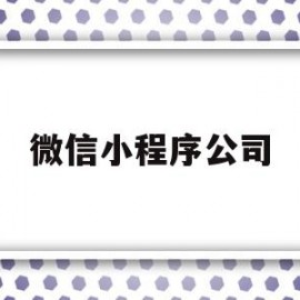 微信小程序公司(制作微信小程序公司)